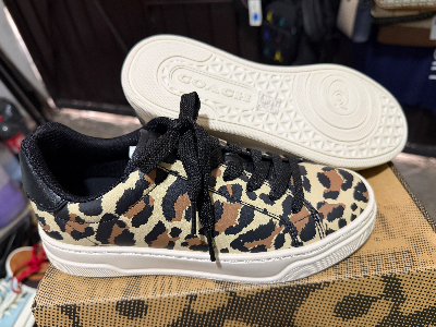 Tenis coach